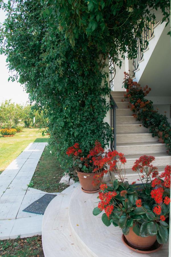 Luce Di Sole Apartment อุลซิน ภายนอก รูปภาพ